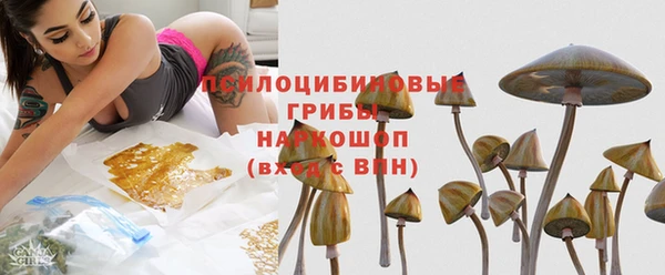 Альфа ПВП Алексин
