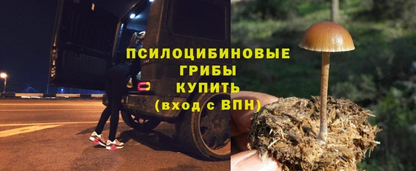 дживик Сосновый Бор