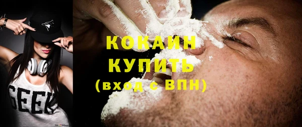 дживик Сосновый Бор
