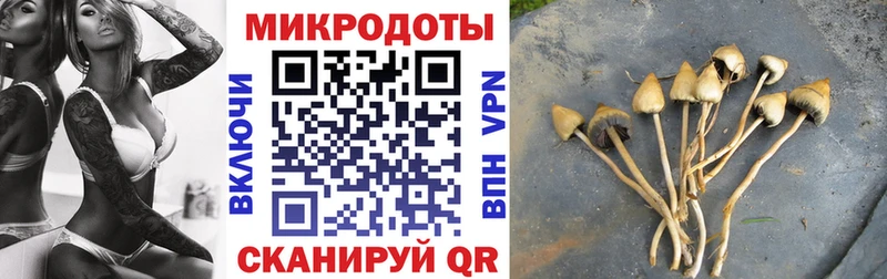 omg рабочий сайт  Асино  Галлюциногенные грибы мицелий 