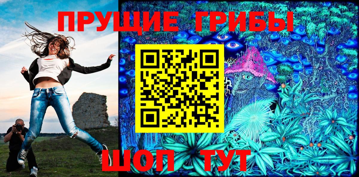 Асино  даркнет сайт  Вход с VPN  Псилоцибиновые грибы MAGIC MUSHROOMS  Псилоцибиновые грибы Psilocybe 