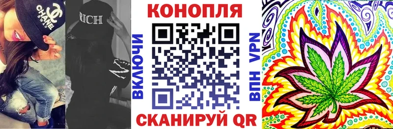 Шишки марихуана планчик  Асино 